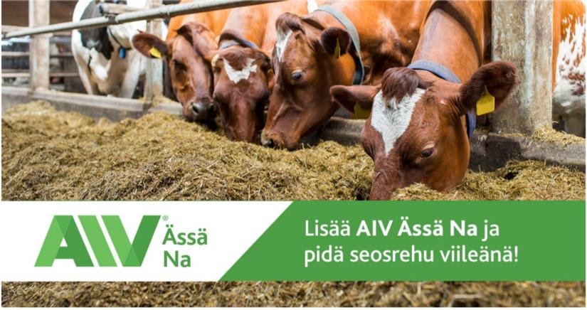 AIV Ässä Na – Pidä seosrehu viileänä