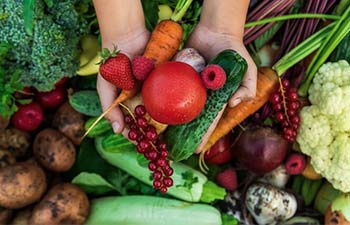 Ammattipuutarhatuotteiden ennakkomyynti 2025