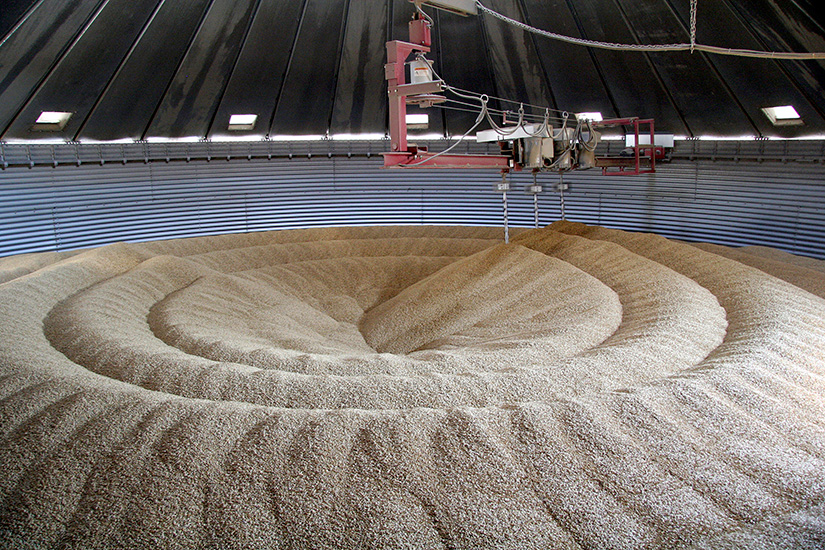 Kuivaavan siilon sisältä.