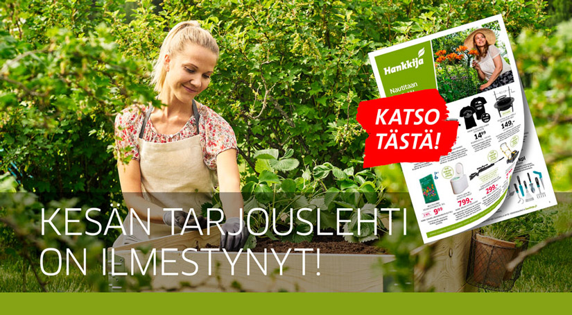 Kesäkuun kuvasto, klikkaa päästäksesi kuvastoon