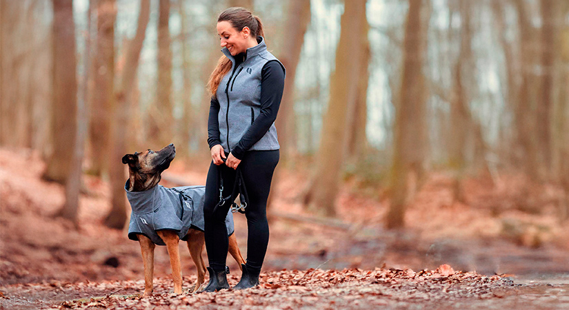 Back On Track Bark-koirantakki koiralla päällä värissä harmaa. Kuvituskuva.