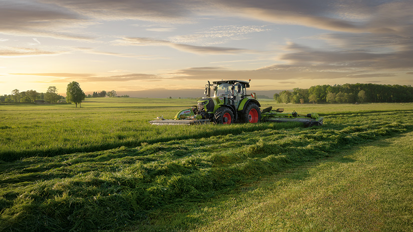 Claas Arion 5 -traktori niittää nurmea auringonlaskussa.
