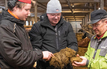 Eerik ja Johannes Turpeinen ja Kullervo Palovaara