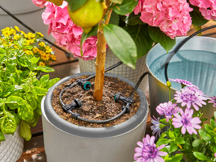 Gardena AquaBloom lomakastelusarjat