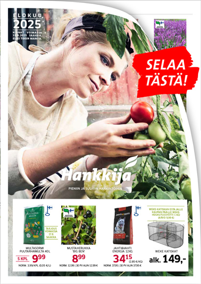Elokuun kuvaston kansikuva, klikkaa tästä kuvaston näköisversioon
