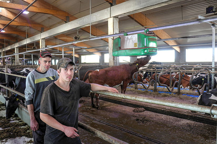 Markku Korhonen ja Juho Kilpeläinen poseeraavat Demeca Renki -kuivituslaitteen vieressä. Utelias lehmä nuuskii kuivituslaitetta.