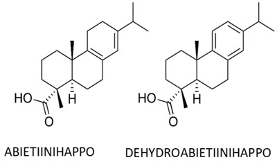 resiinihapot, abientiinihappo ja dehydroabietiinihappo