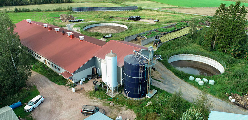 Heiskan tilan pihatto on laajennettu 55 lehmälle sopivaksi vuonna 2008. Rehut korjataan 88 hehtaarin alalta. Nurmisäilörehun lisäksi viljellään kokoviljasäilörehua ja puitavaa ohraa.