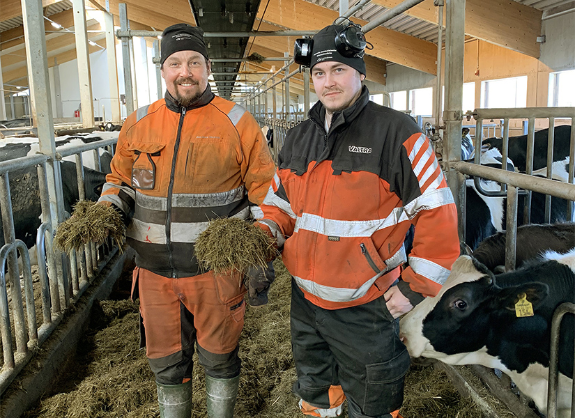 Henri ja Juhani Jurmu maatilallaan navetan sisällä käytävällä. Utelias lypsylehmä kuikuilee syötävää.