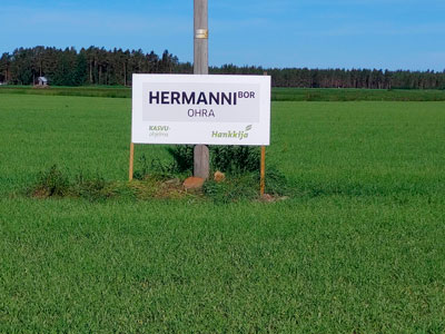 Hermanni-ohra