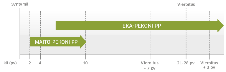 Porsaan vieroitus