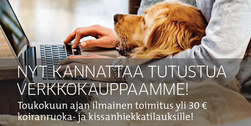 Koira ja tietokone.