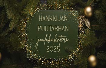 Hankkijan Puutarhan joulukalenteri 2025 Instagramissa ja Facebookissa