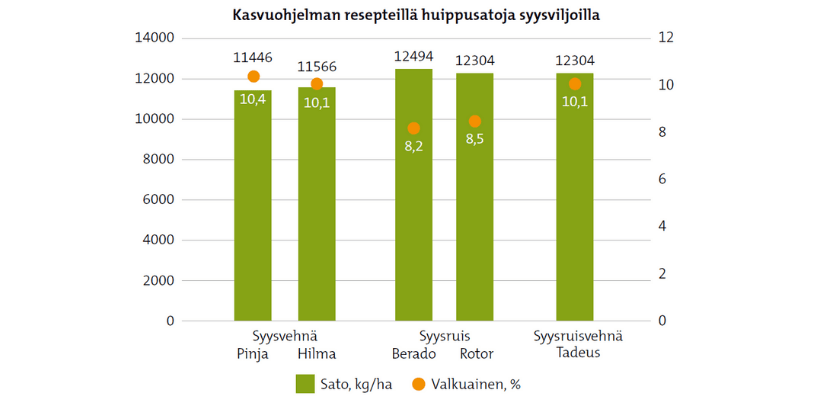 Kasvuohjelman resepteillä huoppusatoja syysviljoilla