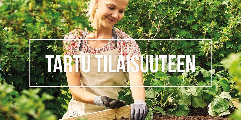 kesätyörekry
