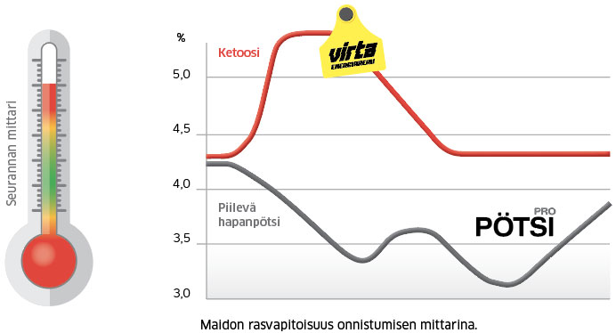 Maidon rasvapitoisuus onnistumisen mittarina