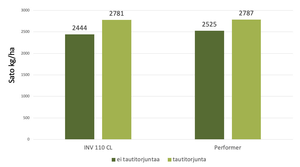 Kevätrapsi