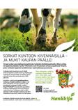 Kivennaiskampanja KMVet4