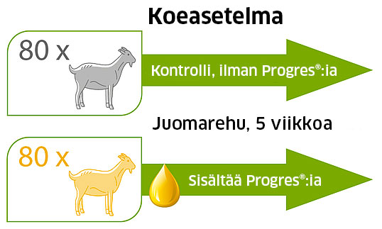 koeasetelma, kilit, Progres