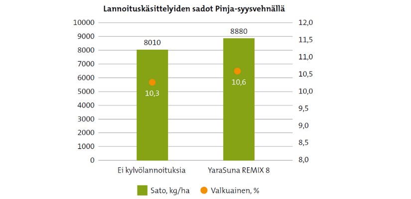 lannoituskäsittelyiden sadot Pinja-syysvehnällä