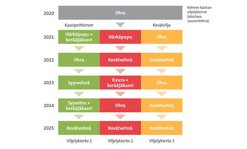 Kolmen kaistan viljelykierron alustava taulukkosuunnitelma.