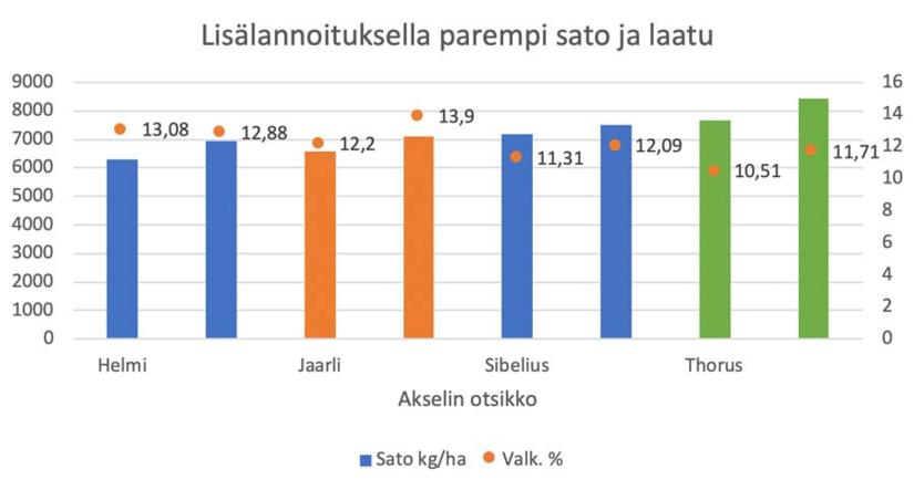 Lisälannoituksella parempi sato ja laatu