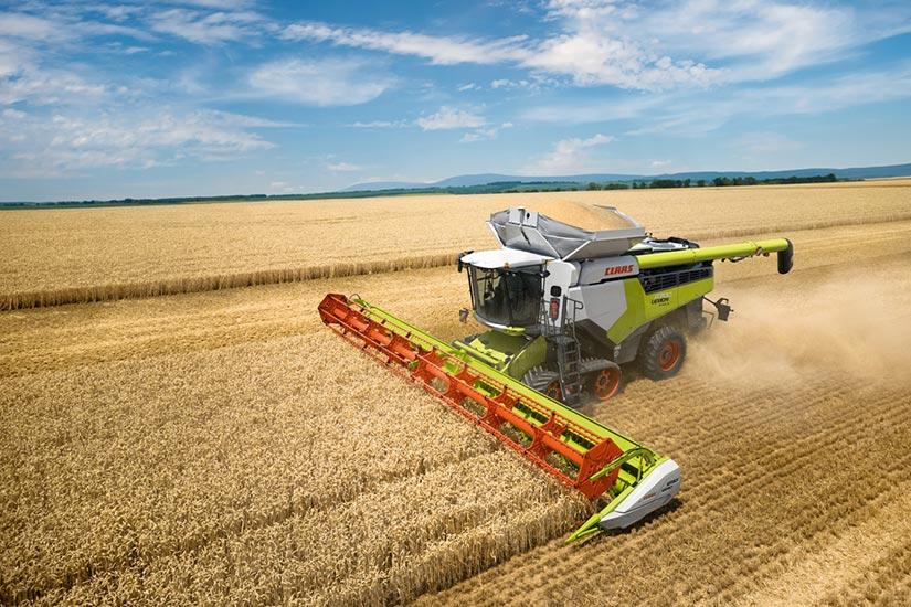 CLAAS LEXION -leikkuupuimuri puimassa viljapellolla.