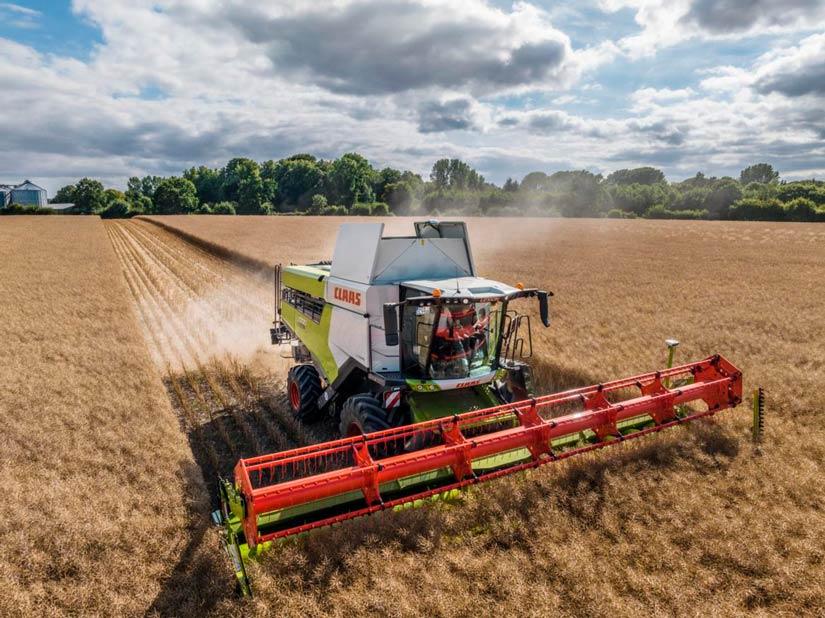 CLAAS leikkuupuimuri puimassa viljaa viljapellolla.