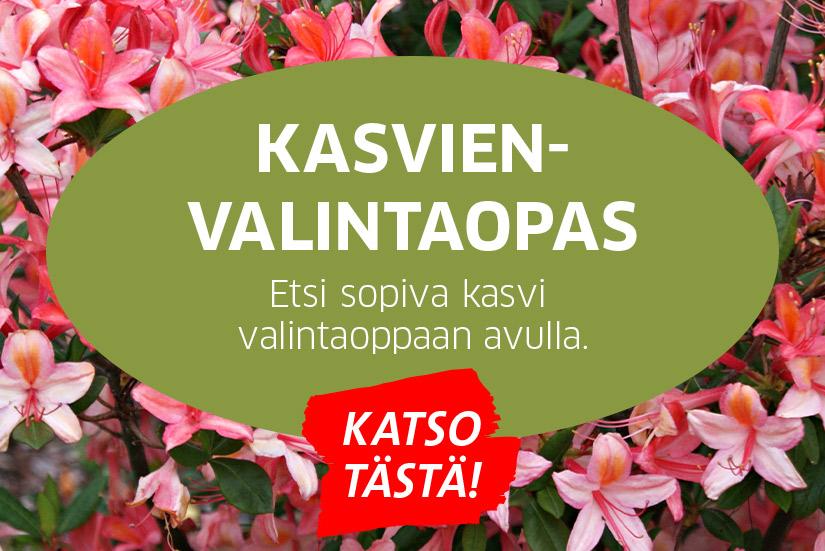 Kasvienvalintaopas