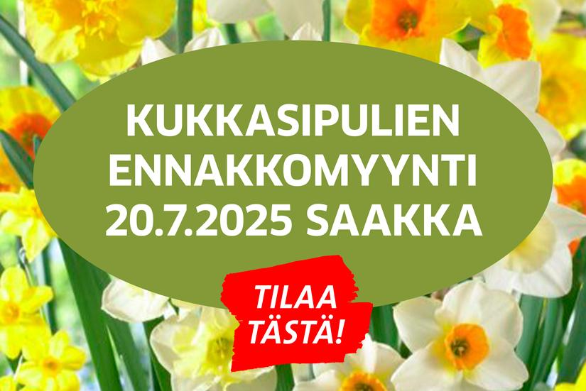 Kukkasipulien ennakkomyynti 2025