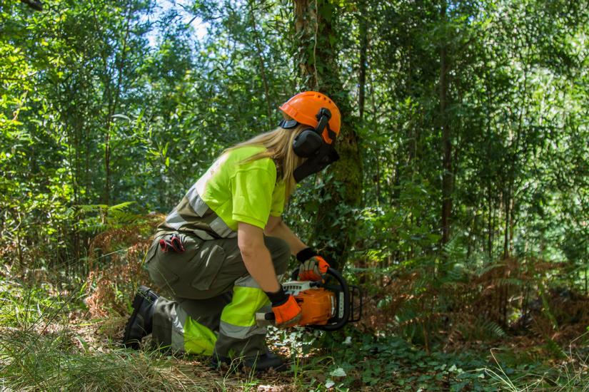 Nainen sahaa puuta moottorisahalla turvavaatteissa metsässä.