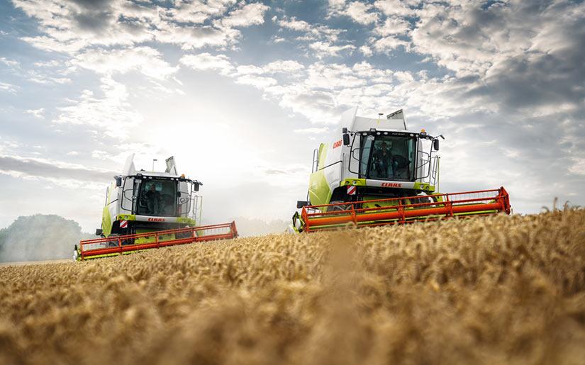 Kaksi CLAAS TUCANO 450 -leikkuupuimuria puimassa pellolla.