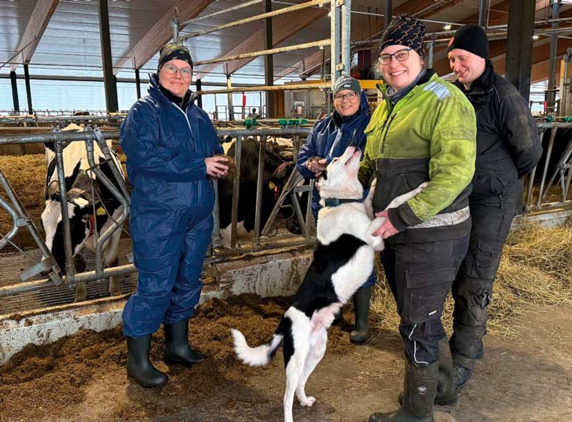 Ruokinta-asiantuntijat Tiina Hakala ja Ann Henriksson, maidontuottajat Meri ja Heikki Äijö