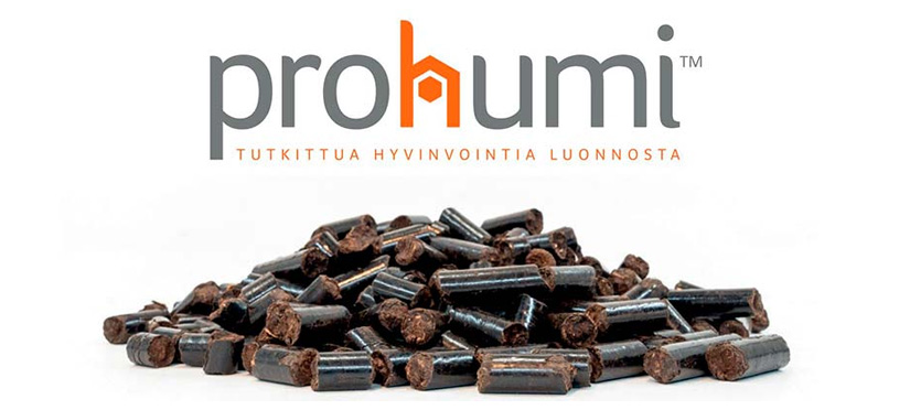 Prohumi-logo sekä slogan