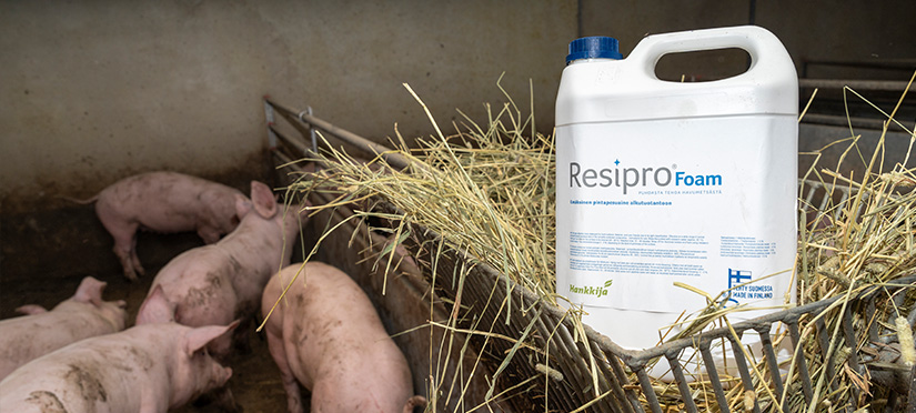 Resipro Foam -kannu on syvätty keskelle pienten possujen karsinaa. Possut ovat erityisen söpöjä.