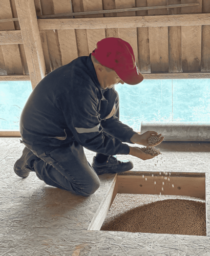 Olli Routakangas esittelee korjattua satoa.