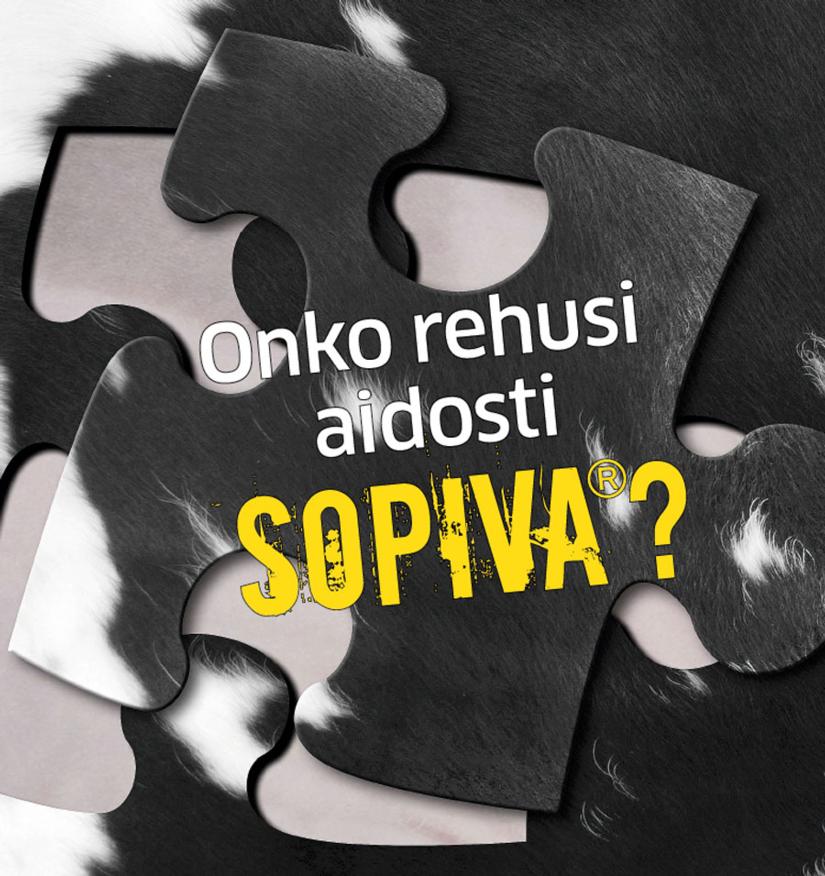 Onko rehusi aidosti Sopiva?