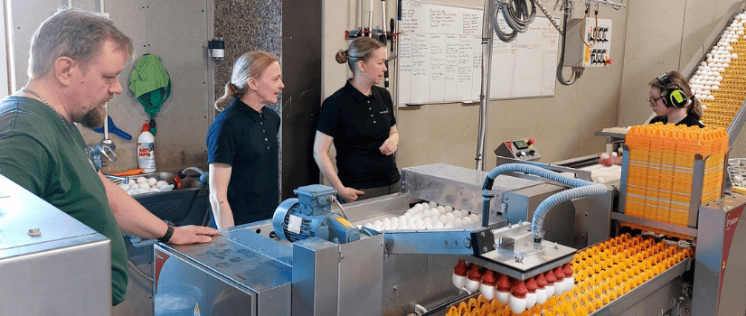 Munan tarkastus- ja pakkauspisteessä seurataan sujuvaa toimintaa.