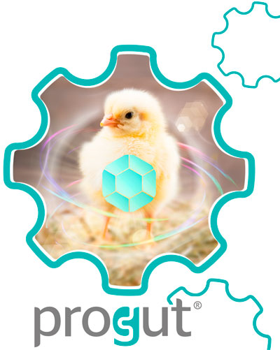 Progut