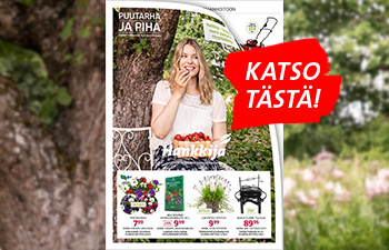 Kesän 2025 puutarhakuvasto