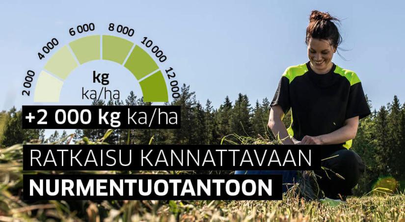 Ratkaisu kannattavaan nurmentuotantoon