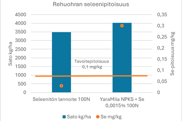 rehuohran seleenipitoisuus