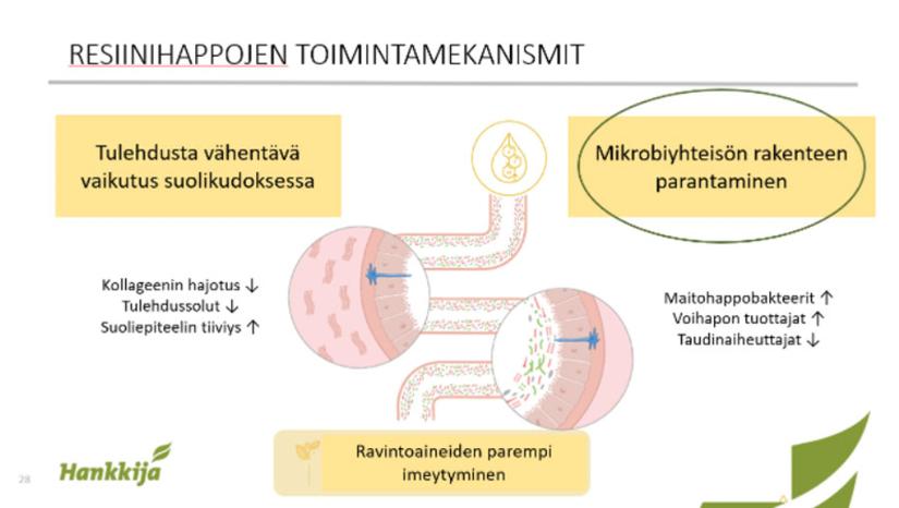 resiinihappojen toimintamekanismit