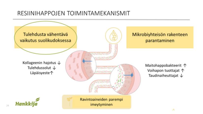 resiinihappojen toimintamekanismit