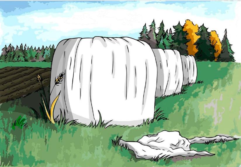 säilörehupaali