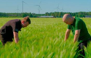 Ohran kasvinsuoljelun tarkistaminen
