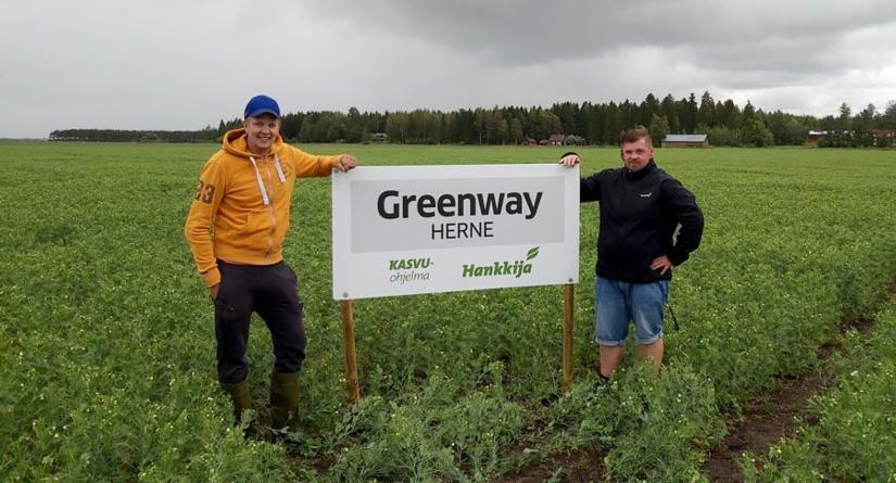 Sandelin Petteri, Greenway-herne