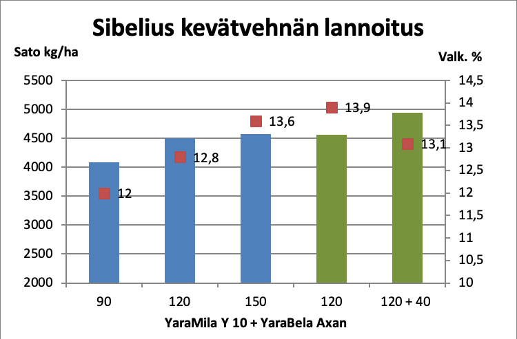 Sibelius-kevätvehnän lannoitus