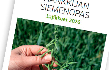 Siemenopas 2026