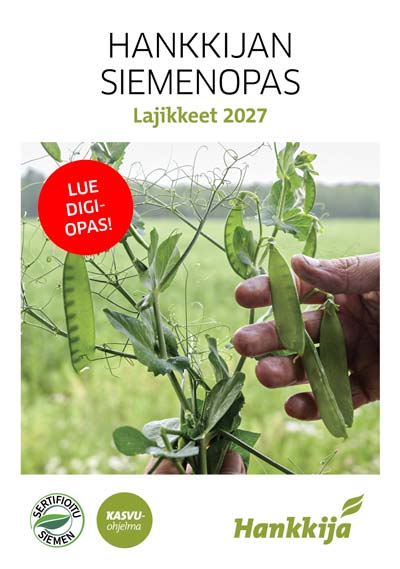 Siemenopas 2027 digiversio